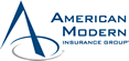 American Modern